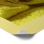 Snuggled Chihuahua Puppy Poster ポスター (角)