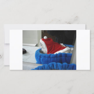 Snugglerはサンタの足です シーズンカード