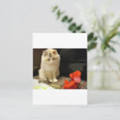 Snugglerは幸せなバレンタインデー"ニャーと鳴きます! " シーズンポストカード (スタンド正面)