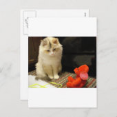 Snugglerは幸せなバレンタインデー"ニャーと鳴きます! " シーズンポストカード (正面/裏面)