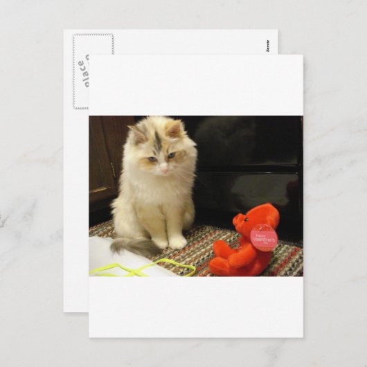 Snugglerは幸せなバレンタインデー"ニャーと鳴きます! " シーズンポストカード (正面/裏面)