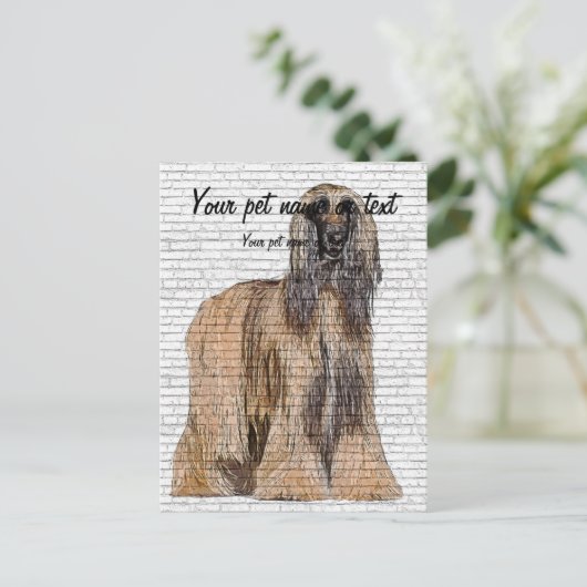 So Beautiful, Afghan Hound Dog ポストカード (スタンド正面)