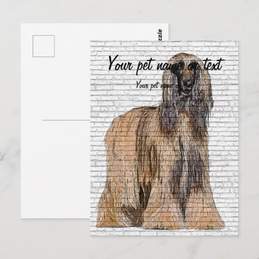 So Beautiful, Afghan Hound Dog ポストカード (正面/裏面)