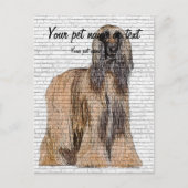 So Beautiful, Afghan Hound Dog ポストカード (正面)