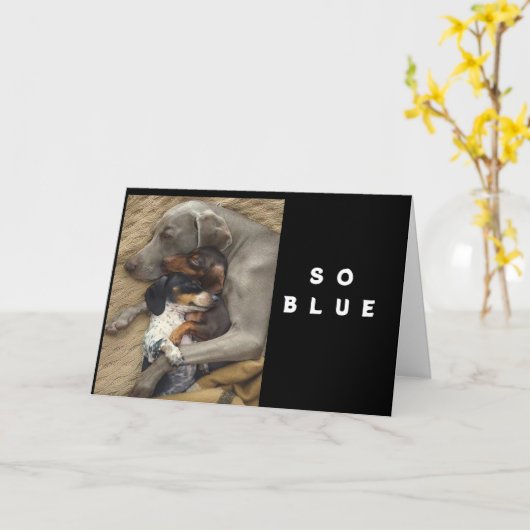 **SO BLUE** **YOU**カード カード (黄色い花)