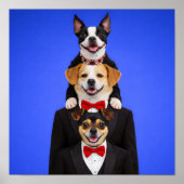 "So Happy Together" ポスター (正面)