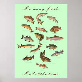 So Many Fish, So Little Time Poster ポスター