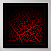 So Veinポスター ポスター (正面)