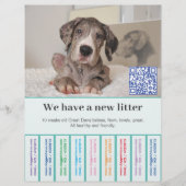 So verkaufen Sie Dane Welpen farbigen Flyer チラシ (正面)