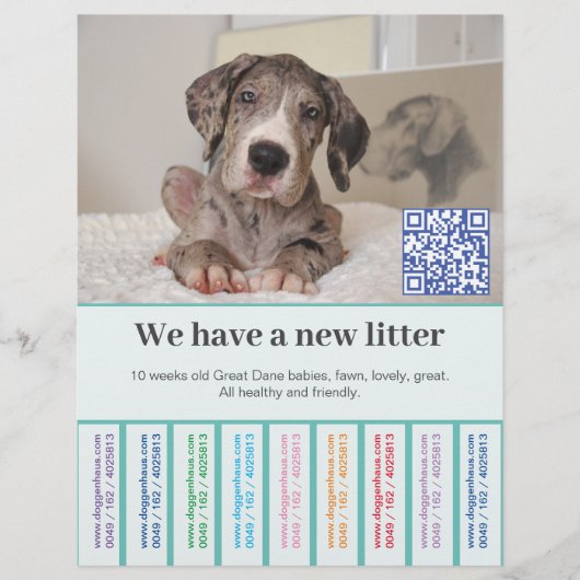 So verkaufen Sie Dane Welpen farbigen Flyer チラシ (正面)