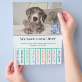 So verkaufen Sie Dane Welpen farbigen Flyer チラシ (手)