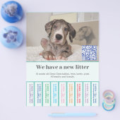 So verkaufen Sie Dane Welpen farbigen Flyer チラシ (シングル)