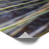 Soaptree Yucca Flowers In The Upper Missouri ポスター (角)