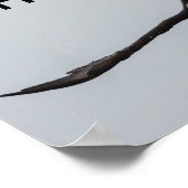 Soaring Bald Eagle Bird Flight Inspiration自然 ポスター (角)