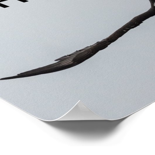 Soaring Bald Eagle Bird Flight Inspiration自然 ポスター (角)