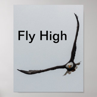 Soaring Bald Eagle Bird Flight Inspiration自然 ポスター