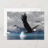 Soaring Eagleはがき ポストカード (正面/裏面)
