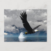 Soaring Eagleはがき ポストカード (正面)