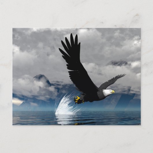 Soaring Eagleはがき ポストカード (正面)