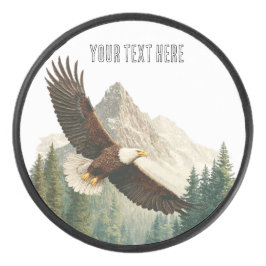 Soaring Eagle  アイスホッケーパック