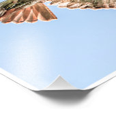 Soaring Red-Tailed Hawk – Wildlife Nature Print フォトプリント (角)