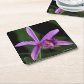 Sobralia Bouchei スクエアペーパーコースター (アングル)