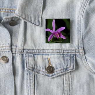 Sobralia Bouchei 缶バッジ