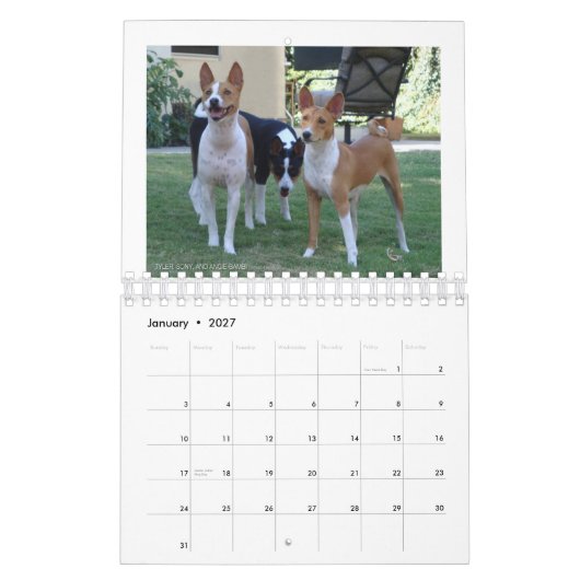 Socal 2010のカレンダーのBasenjis カレンダー (1月 2027)