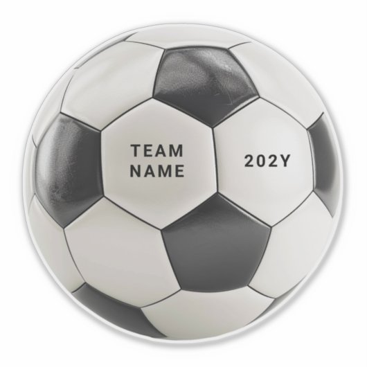 Soccer Ball Vinyl Sticker | Personalized Team Name シール (正面)