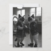 Sockホップ猫ちゃん (正面)