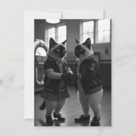 Sockホップ猫ちゃん