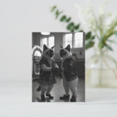 Sockホップ猫ちゃん ポストカード (スタンド正面)