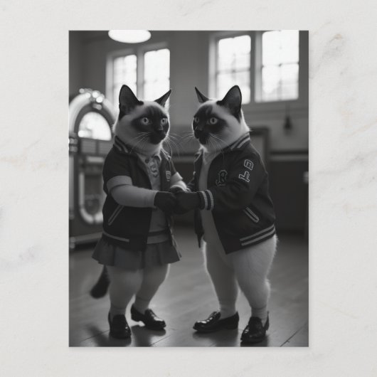 Sockホップ猫ちゃん ポストカード (正面)