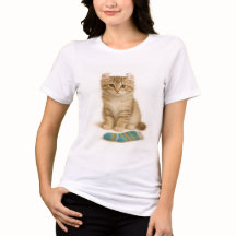 Sock It to Me - American Curl Kitten Edition