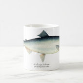 Sockeyeまたは赤いサケの魚のコーヒー・マグ コーヒーマグカップ (中央)