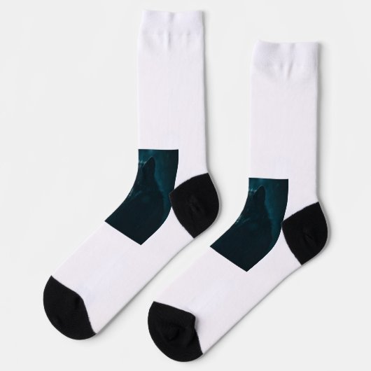 Socks  ソックス (左)