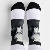 Socks  ソックス (上部)