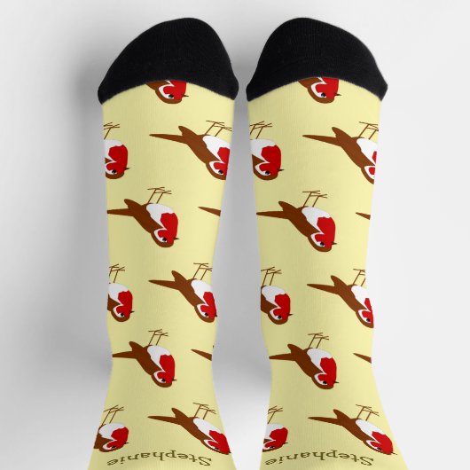 Socks Robin Red Breast Design ソックス (上部)