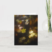 Soft Autumn Light Leaves Photo カード (正面)