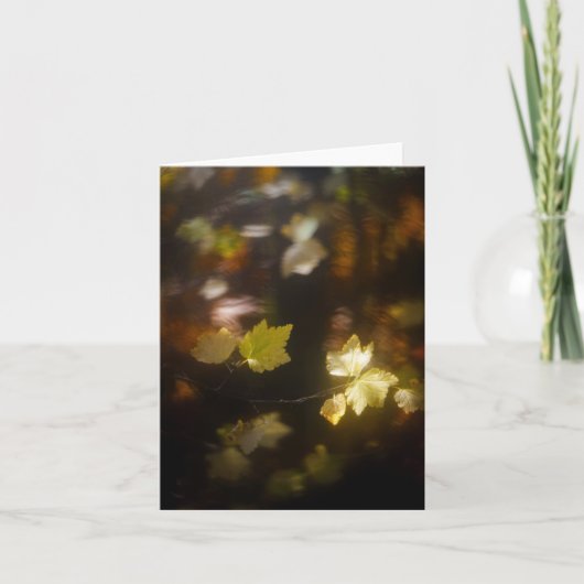 Soft Autumn Light Leaves Photo カード (正面)