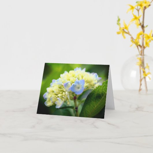 Soft Blue Hydrangea Flower Photography Note カード (黄色い花)