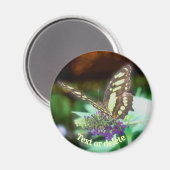 Soft Butterfly On Flower Nature Personalized マグネット (正面/裏面)