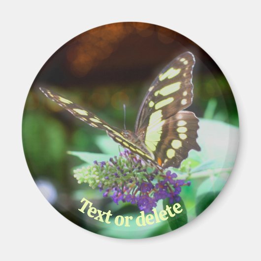 Soft Butterfly On Flower Nature Personalized マグネット (正面)