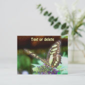 Soft Butterfly On Flower Nature Photo Personalized ポストカード (スタンド正面)