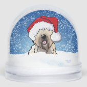 Soft Coated Wheaten Terrier (正面)
