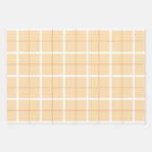 Soft Color Vertical Stripe Pattern Point Design ラッピングペーパーシート (正面)