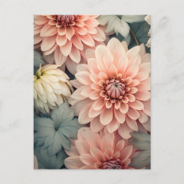 soft colored dahlia flower head ポストカード