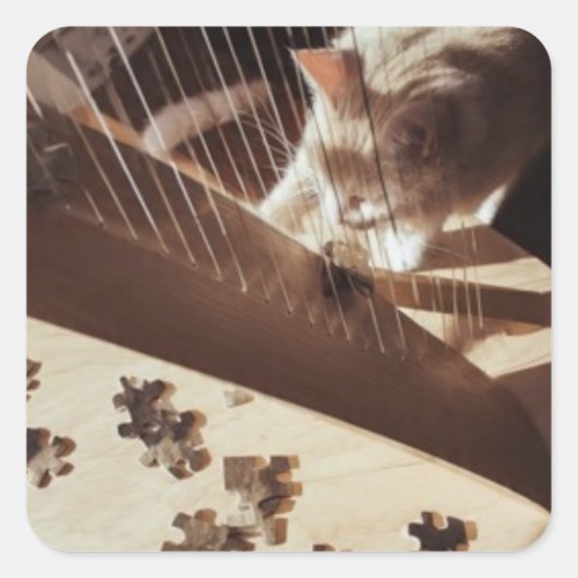 Soft Curiosity スクエアシール (正面)