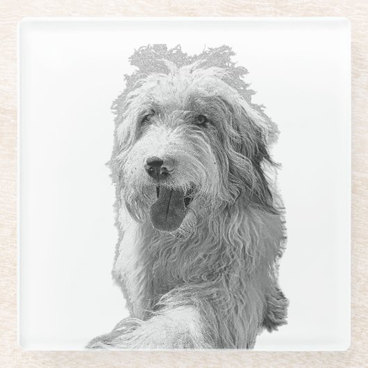 Soft Eyes, Solid Surface – Monochrome Dog Portrait ガラスコースター (正面)