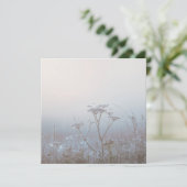 Soft Frosty Morning Nature カード (スタンド正面)